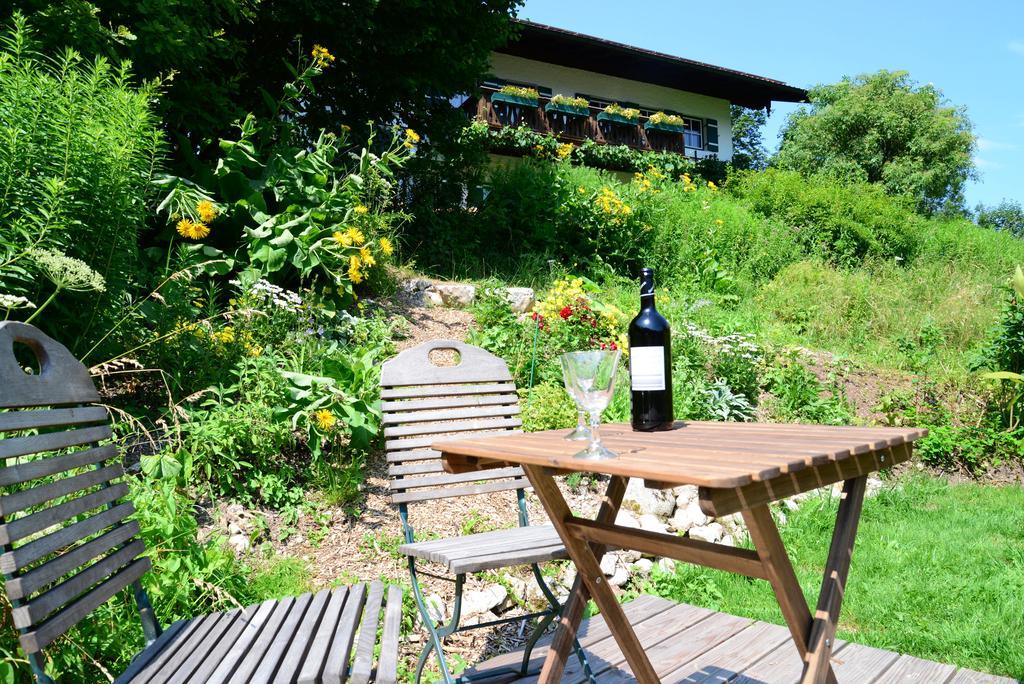 Alpenhof Punzenlehen Apartment