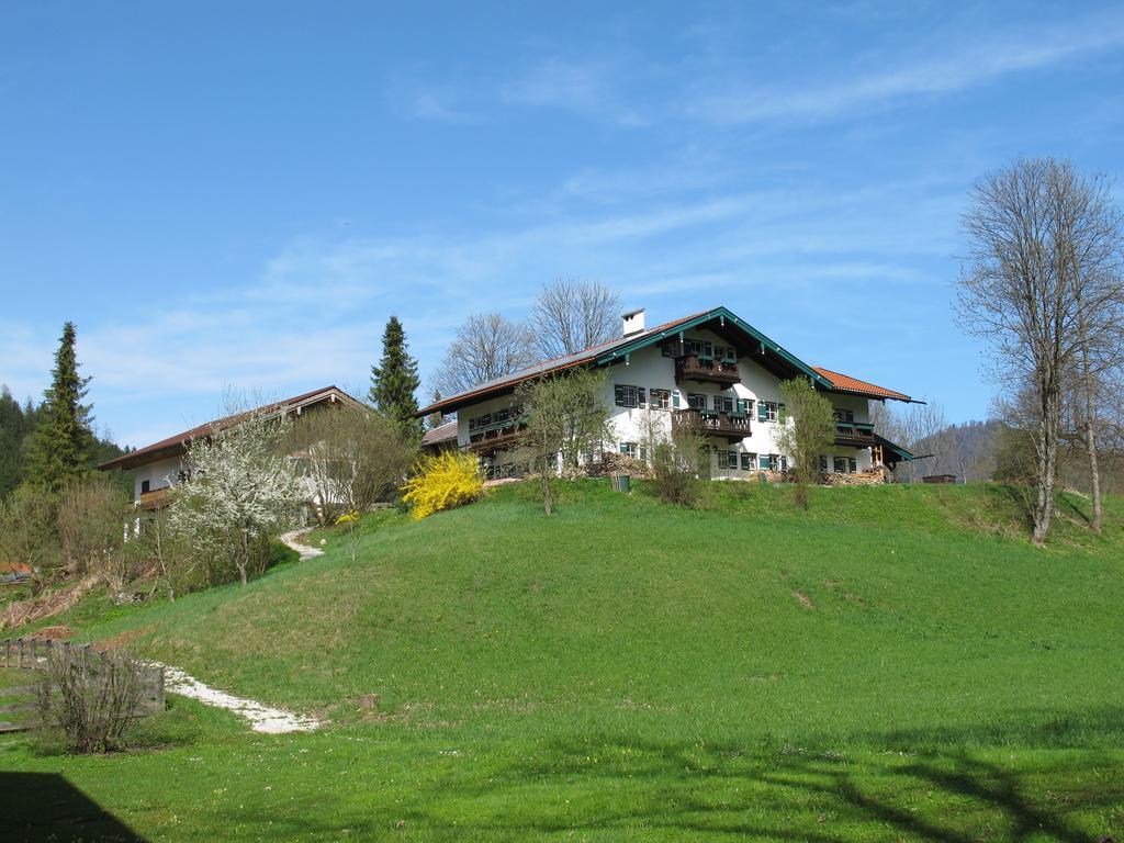 Apartment Alpenhof Punzenlehen *