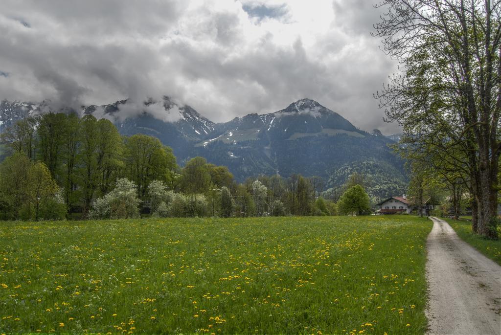 Apartment Alpenhof Punzenlehen *