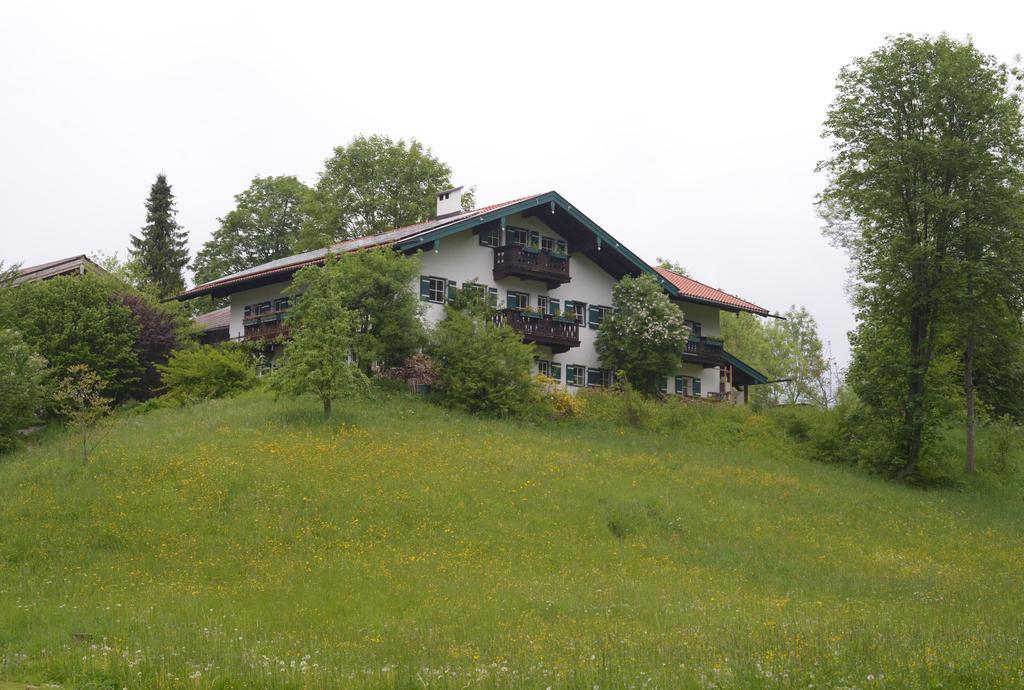 Apartment Alpenhof Punzenlehen *